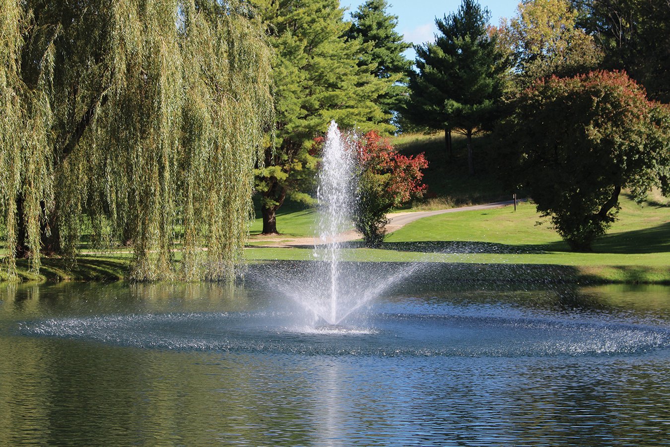 Fountain in pond with willow tree