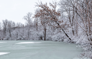 Rural Frozen Pond