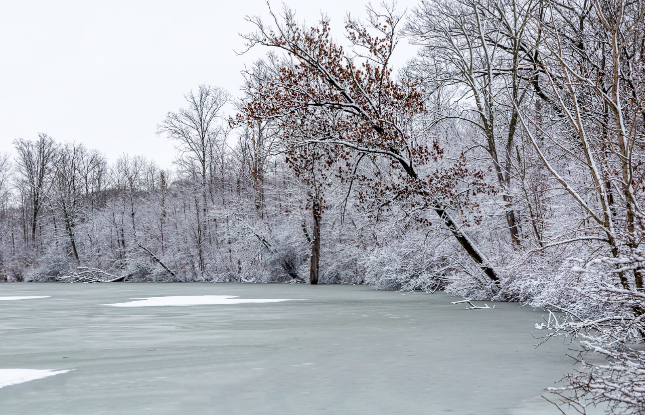 Rural Frozen Pond