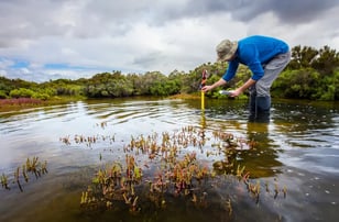 Sediment Testing