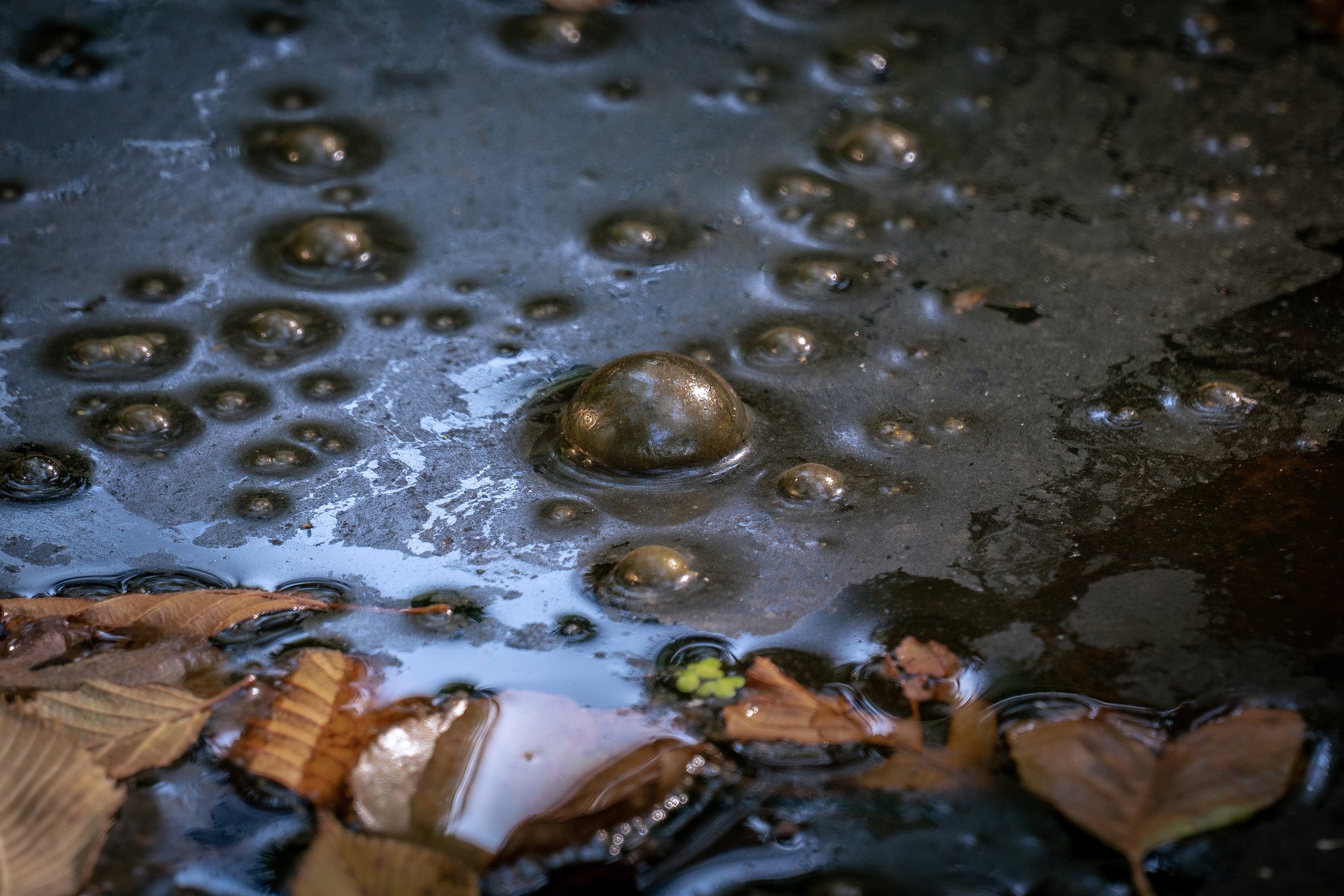bigstock-Golden-Bubbles-Of-Sludge-Gas-O-338055583