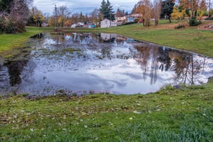 Fall Pond Maintenance in Wisconsin: What to Do Now for a Healthy Spring